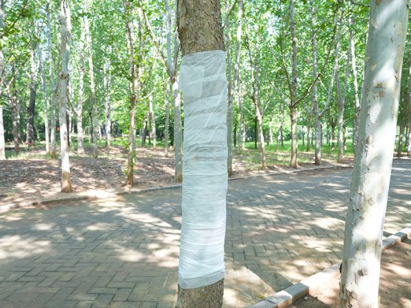 non-woven tree wrapping tape