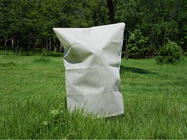 cold protection tree cover