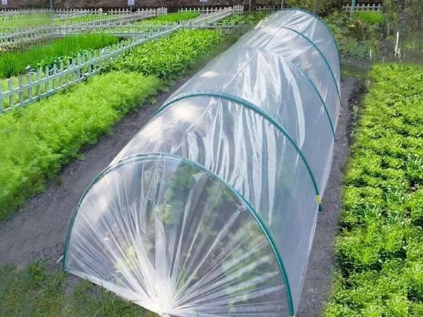 Small greenhouse films