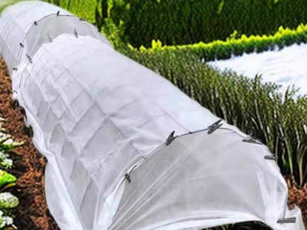 Non-woven cold protection shed